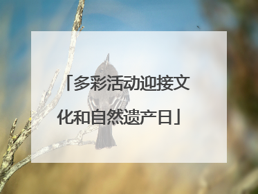 多彩活动迎接文化和自然遗产日