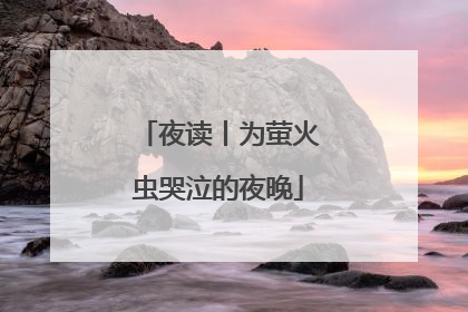 夜读丨为萤火虫哭泣的夜晚