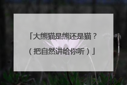 大熊猫是熊还是猫？（把自然讲给你听）