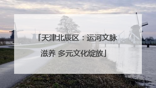 天津北辰区：运河文脉滋养 多元文化绽放