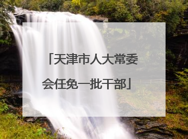 天津市人大常委会任免一批干部