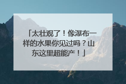 太壮观了！像瀑布一样的水果你见过吗？山东这里超能产！