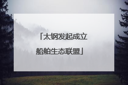太钢发起成立船舶生态联盟