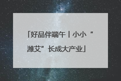 好品伴端午丨小小“潍艾”长成大产业