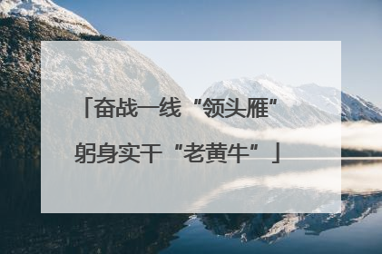 奋战一线“领头雁” 躬身实干“老黄牛”