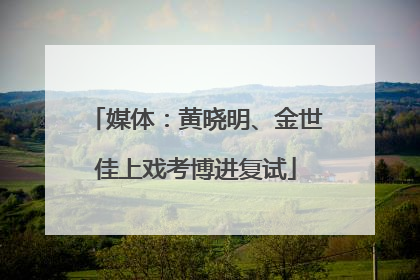 媒体：黄晓明、金世佳上戏考博进复试