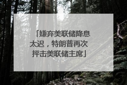 嫌弃美联储降息太迟，特朗普再次抨击美联储主席