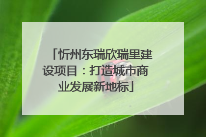 忻州东瑞欣瑞里建设项目：打造城市商业发展新地标