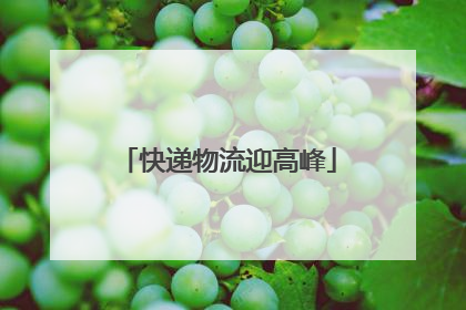 快递物流迎高峰