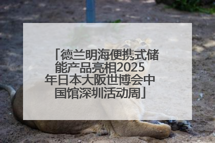 德兰明海便携式储能产品亮相2025年日本大阪世博会中国馆深圳活动周