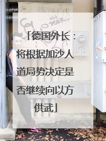 德国外长：将根据加沙人道局势决定是否继续向以方供武