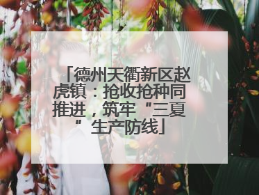 德州天衢新区赵虎镇：抢收抢种同推进，筑牢“三夏”生产防线
