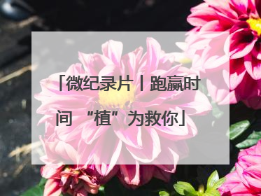 微纪录片丨跑赢时间 “植”为救你
