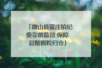 微山县留庄镇纪委靠前监督 保障夏粮颗粒归仓