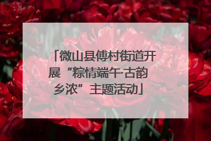 微山县傅村街道开展“粽情端午·古韵乡浓”主题活动