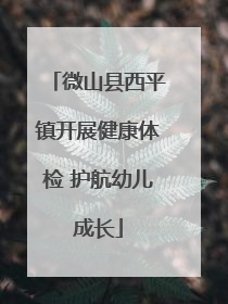 微山县西平镇开展健康体检 护航幼儿成长