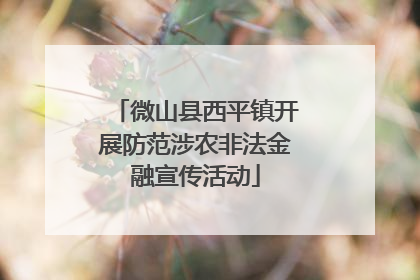 微山县西平镇开展防范涉农非法金融宣传活动