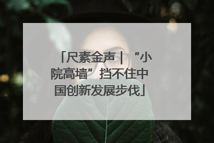 尺素金声｜“小院高墙”挡不住中国创新发展步伐