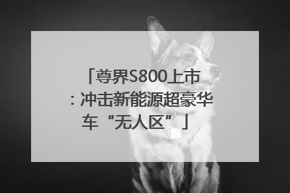 尊界S800上市：冲击新能源超豪华车“无人区”