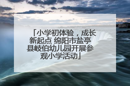 小学初体验，成长新起点 绵阳市盐亭县岐伯幼儿园开展参观小学活动