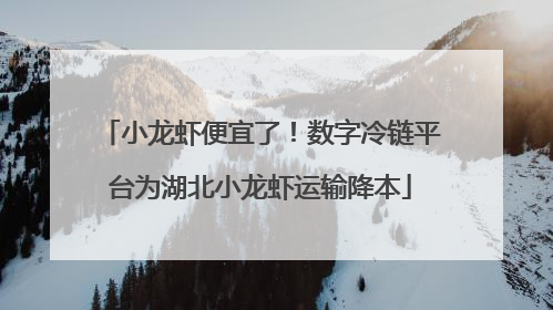 小龙虾便宜了！数字冷链平台为湖北小龙虾运输降本