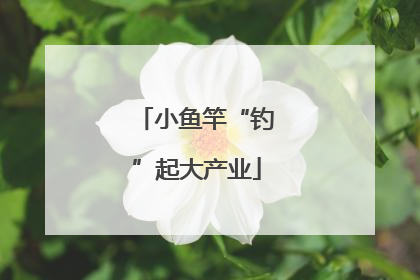 小鱼竿“钓”起大产业