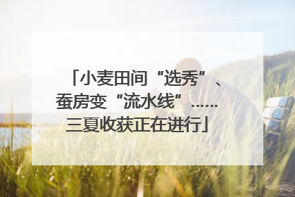 小麦田间“选秀”、蚕房变“流水线”……三夏收获正在进行