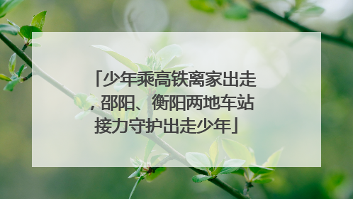 少年乘高铁离家出走，邵阳、衡阳两地车站接力守护出走少年