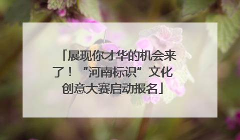 展现你才华的机会来了！“河南标识”文化创意大赛启动报名