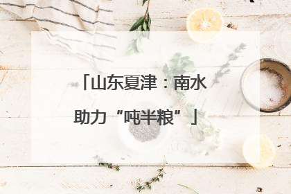 山东夏津：南水助力“吨半粮”