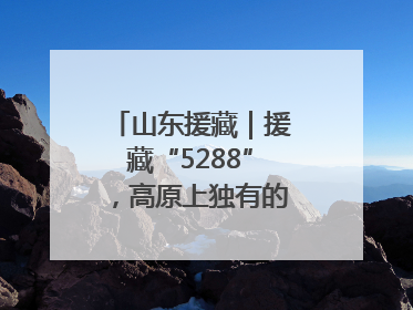 山东援藏｜援藏“5288”，高原上独有的“烟台浪漫”