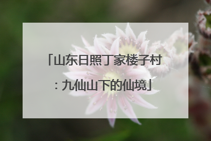山东日照丁家楼子村：九仙山下的仙境