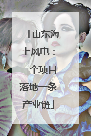 山东海上风电：一个项目落地一条产业链
