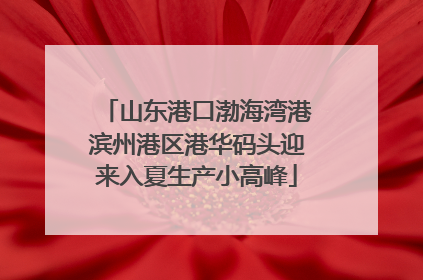 山东港口渤海湾港滨州港区港华码头迎来入夏生产小高峰