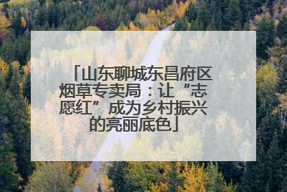 山东聊城东昌府区烟草专卖局：让“志愿红”成为乡村振兴的亮丽底色