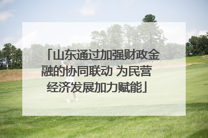 山东通过加强财政金融的协同联动 为民营经济发展加力赋能