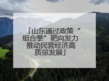 山东通过政策“组合拳”靶向发力 推动民营经济高质量发展
