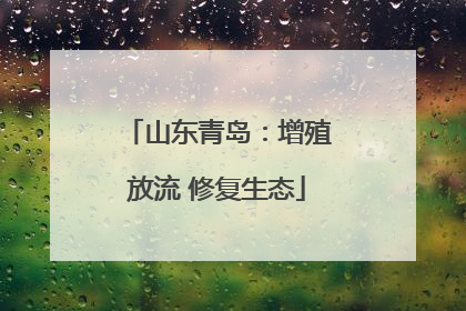 山东青岛：增殖放流 修复生态