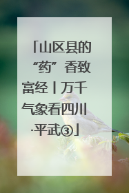山区县的“药”香致富经丨万千气象看四川·平武③
