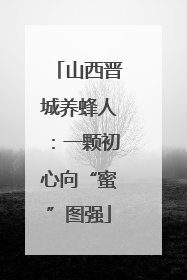 山西晋城养蜂人：一颗初心向“蜜”图强