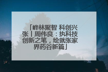 峰林聚智 科创兴张丨周伟良：执科技创新之笔，绘就张家界药谷新篇