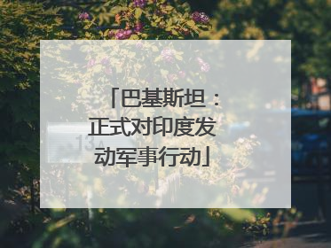 巴基斯坦：正式对印度发动军事行动