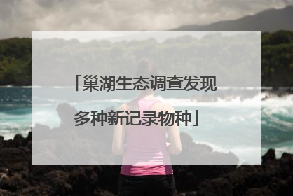 巢湖生态调查发现多种新记录物种