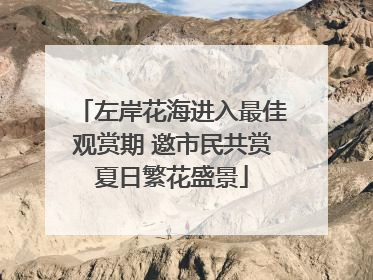左岸花海进入最佳观赏期 邀市民共赏夏日繁花盛景