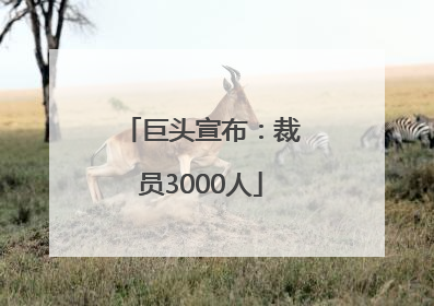 巨头宣布：裁员3000人