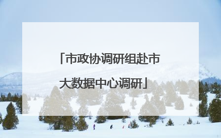 市政协调研组赴市大数据中心调研