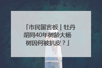市民留言板｜牡丹胡同40年树龄大杨树因何被扒皮？