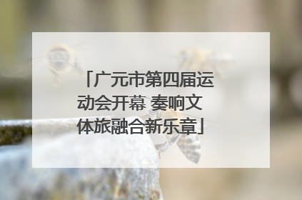 广元市第四届运动会开幕 奏响文体旅融合新乐章