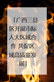 广西三县区开展市际人大区域合作 共促区域高质量发展