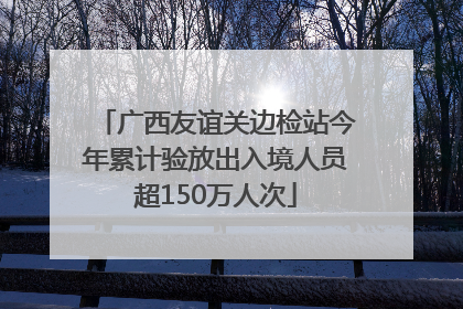 广西友谊关边检站今年累计验放出入境人员超150万人次